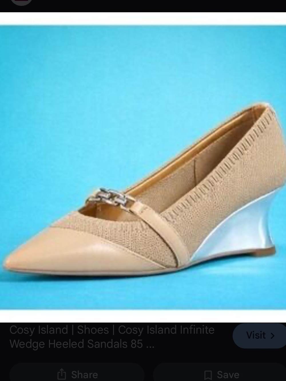 Cosy Island Beige Pointed-Toe Wedge Pump with Silver Accent